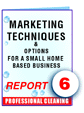 Report #06 Marketing Techniques and Options for a Small, Home Based Service Business