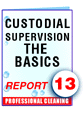 Report # 13 Custodial Supervision - The Basics