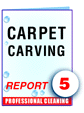 Report #05 Carpet Carving