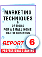 Report #06 Marketing Techniques and Options for a Small, Home Based Service Business